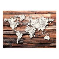 papel pintado 3d - map on wood 350x245 cm