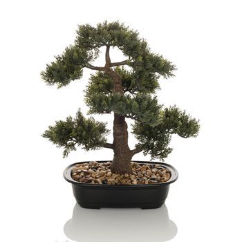 Planta Artificial / Árbol Artificial Bonsai 44 Cm Verde Hjh Office