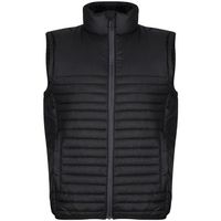 regatta cazadora honestly made para hombre