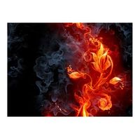 papel pintado 3d - una flor de fuego 400x309 cm