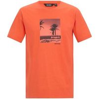 regatta camiseta cline ix para hombre