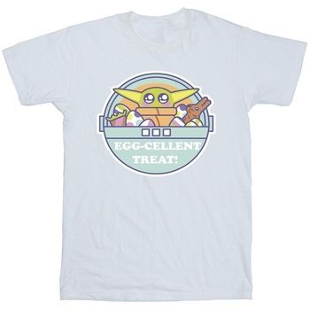 Disney Tops y Camisetas The Mandalorian Eggcellent Easter para niño