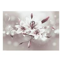 papel pintado 3d - favourite of kings 300x210 cm