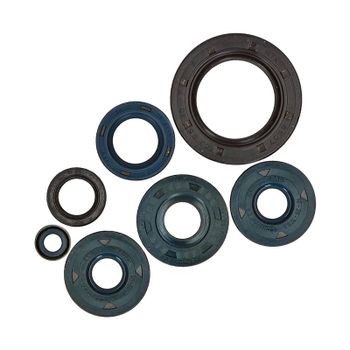 Kit retén motor BMW F 650 Athena