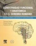 conectividad funcional y anatomica en el cerebro humano