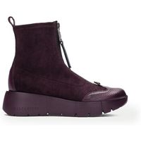 hispanitas botines hi265104 para mujer