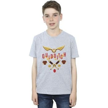 Harry Potter Tops y Camisetas Quidditch Golden Snitch para niño