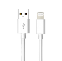cable usb-a a lightning 2 mt netway