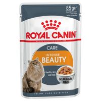 royal canin hair  skin care - complementary royal canin wet intense beauty in jelly 12 x 85g