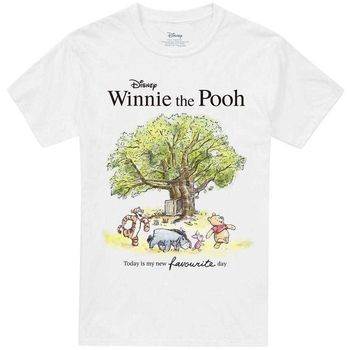Dessins Animés Camiseta Today Is My New Favourite Day para hombre