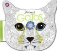 divinos gatos