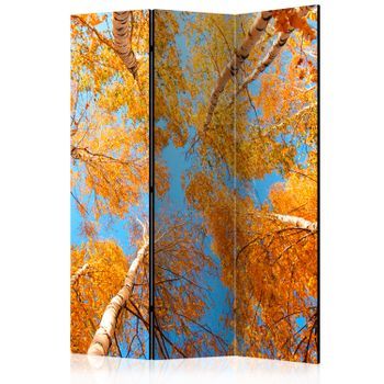 Biombo - Autumnal Treetops (135x172 Cm)