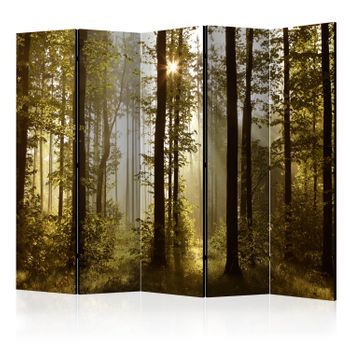 Biombo - Forest: Morning Sunlight  Ii  (225x172 Cm)