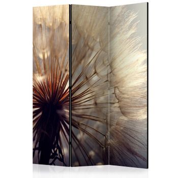 Biombo - Dandelion Kiss (135x172 Cm)