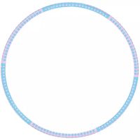 hula hoop aro de fitness profesional para adulto de gimnasio 6 secciones desmontable tubo de acero inoxidable cubierta con goma espuma ahuecado por dentro para rellanar peso hasta 4 kg aro