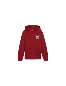 Sudadera Puma Essentials+ Mid 90S Hoodie Fl Niño