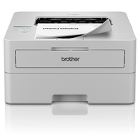 brother hl-l2865dw laser wifi duplex