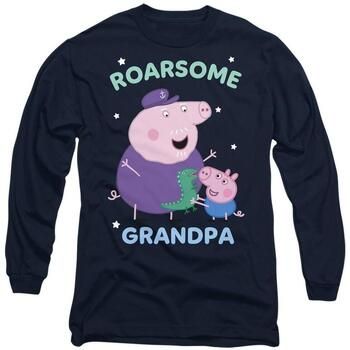 Dessins Animés Camiseta manga larga Roarsome para hombre