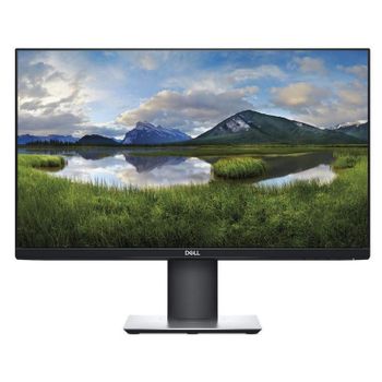 Dell P2419H 23.8