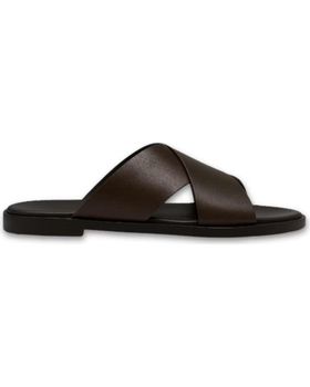 de DUCA DI MORRONE UMBERTO-VIT BROWN