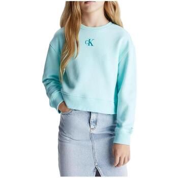 Calvin Klein Jeans Jersey IG0IG02423 CCP para niña