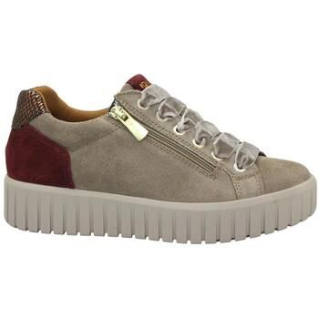IgI&CO Zapatillas IGI-I26-2168644-FA para mujer