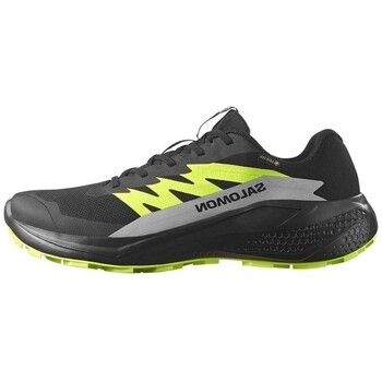 Salomon Zapatillas de running Alphaglide Gtx para hombre