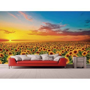 Fotomural Vinilo Atardecer De Girasoles 350 X 250 Cm