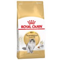 royal canin norwegian forest cat - 10kg