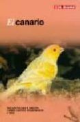el canario
