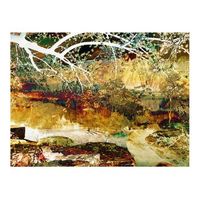 papel pintado 3d - river of life 350x270 cm