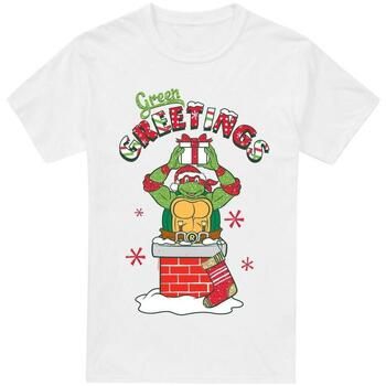 Teenage Mutant Ninja Turtles Camiseta Green Greetings para hombre