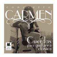 juego de cuerdas para guitarra clasica gato negro carmen fabricado en nylon y bajos entorchados de acero de alta calidad