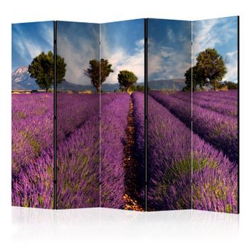 Biombo - Lavender Field In Provence, France Ii (225x172 Cm)