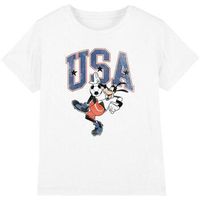 disney camiseta usa para nino