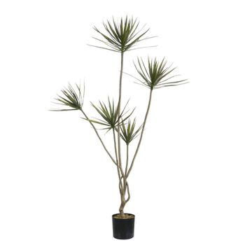 Cordyline en maceta artificial verde h180