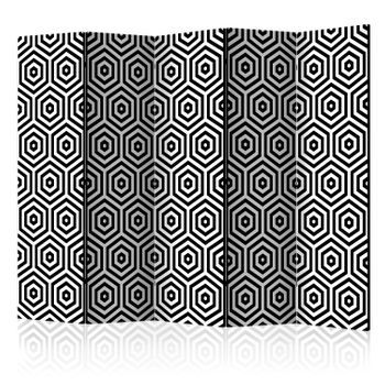 Biombo - Black And White Hypnosis Ii (225x172 Cm)