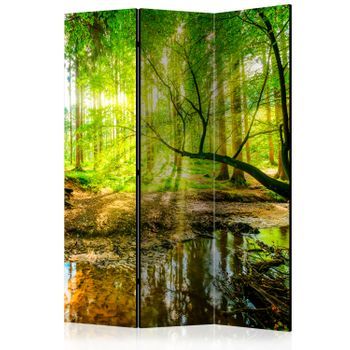 Biombo - Forest Stream (135x172 Cm)