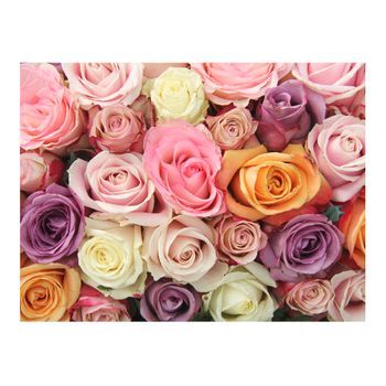 Papel Pintado 3d - Colores Rosa Pastel (250x193 Cm)