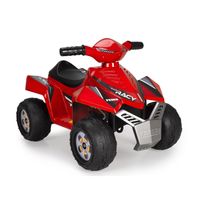 feber quad racy 6v 2 anos