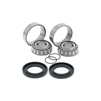Kit de servicio basculante trasero All Balls 28-1058