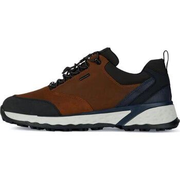 Geox Zapatillas deporte U36F0C 00035 U STERRATO para hombre