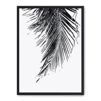 cuadro palm leaf iii