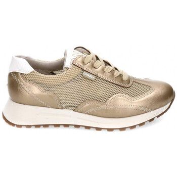 D'angela Zapatos Bajos DLH28000 para mujer