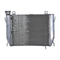 refrigerador motor aprilia rs 660 agua