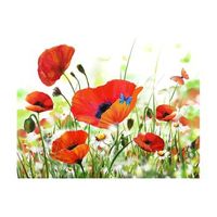 papel pintado 3d - country poppies 400x309 cm