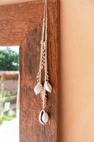 collar de algodon y concha en blanco 6x4x30 cm