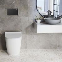estructura anclaje wc rea t mat black  boton para el sistema de instalacion previa al wc t
