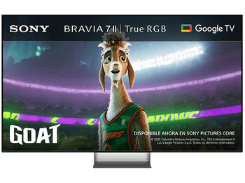 TV RGB Micro LED 65