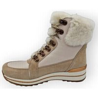 ara botines 24599 para mujer